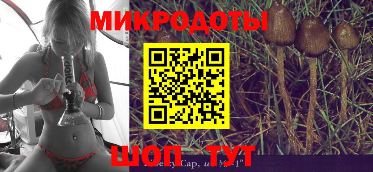 Дзержинский  Галлюциногенные грибы Psilocybe  Вход с VPN 